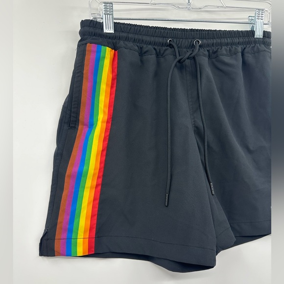 Pride Adult Humankind Rainbow Striped Swim Trunks Size Small - Picture 7 of 11